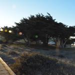 Cambria_0071 (November 02, 2013)